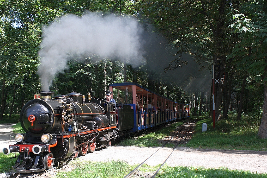 Dampflok 2 der wiener Liliputbahn fhrt am 14.August 2011 in die Hst. Rotunde ein.
