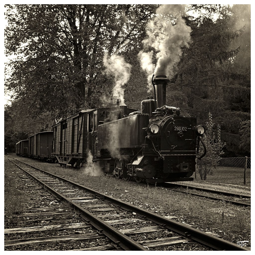 Dampflok 298.102 (Bj 1888 lteste betriebsfhige Schmalspurdampflok sterreichs) fhrt anlsslich des Jubilums 120 Jahre Steyrtalbahn von Steyr nach Grnburg. 
Pergern 06.09.2009
