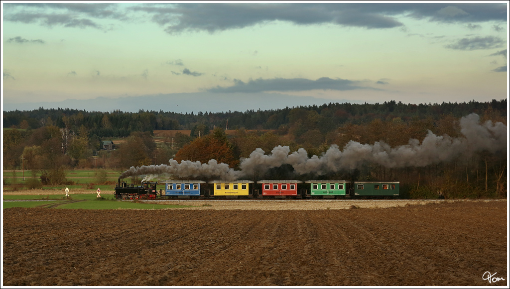 Dampflok 298.56 zieht den letzten planm�sigen  Flascherlzug  von Stainz nach Preding und wieder retour. 
Kraubath 31.10.2012