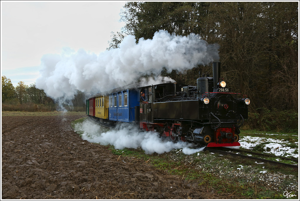 Dampflok 298.56 zieht den letzten planmsigen  Flascherlzug  von Stainz nach Preding und wieder retour. 
Wieselsdorf 31.10.2012