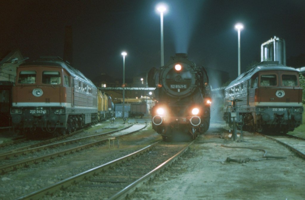 Dampflok 52 8141-5 nach einer Sonderfahrt in Schwerin im Jahre 1993