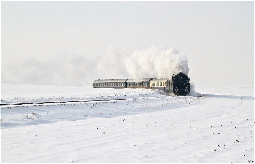 Dampflok 52.7612 fhrt mit Sdz R 16102 von Wien-Heiligenstadt nach Ernstbrunn. 
Naglern 23.1.2010