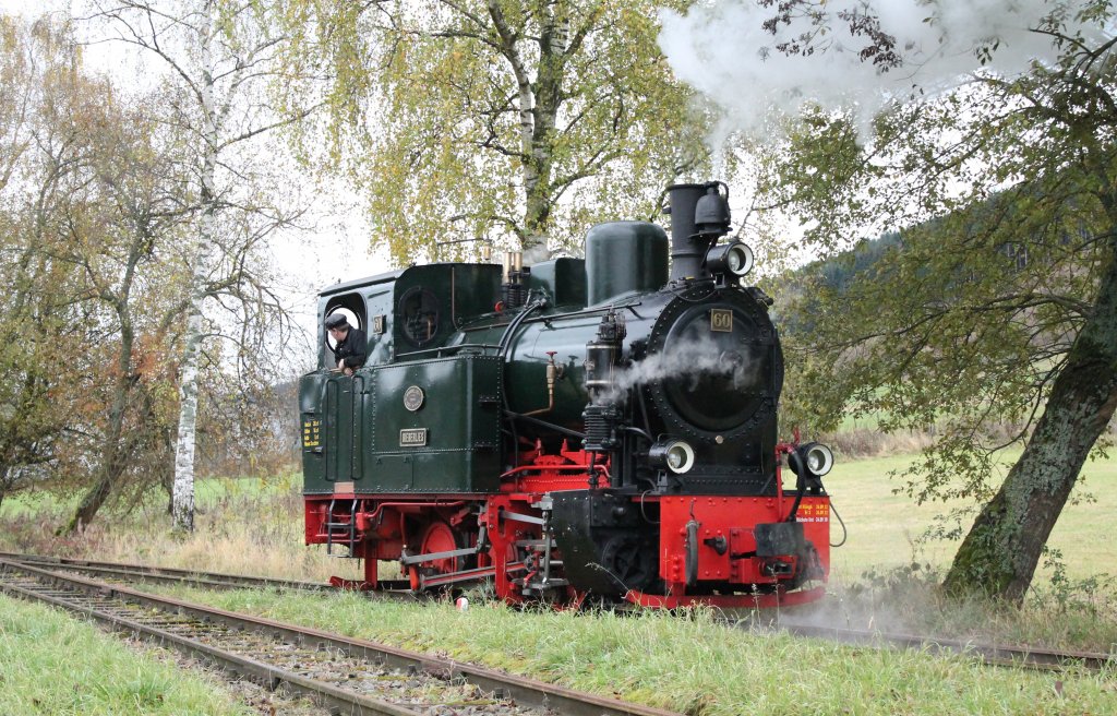 Dampflok 60  BIEBERLIES  (Betr.Nr.60, Cn2t, Henschel & Sohn, Bj.1923) der Sauerlnder Kleinbahn beim Umsetzen am Hp Seissenschmidt  um 14;00 am 04.11.2012. Sonderfahrtag unter dem Motto  Dampf-Kohl-Fahrten .