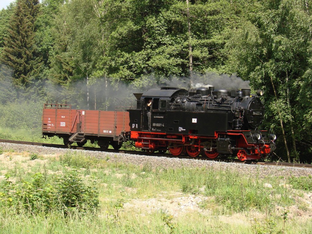 Dampflok 99 6001 mit ein güterwagen - Drei Annen Hohne - 17-06-2011