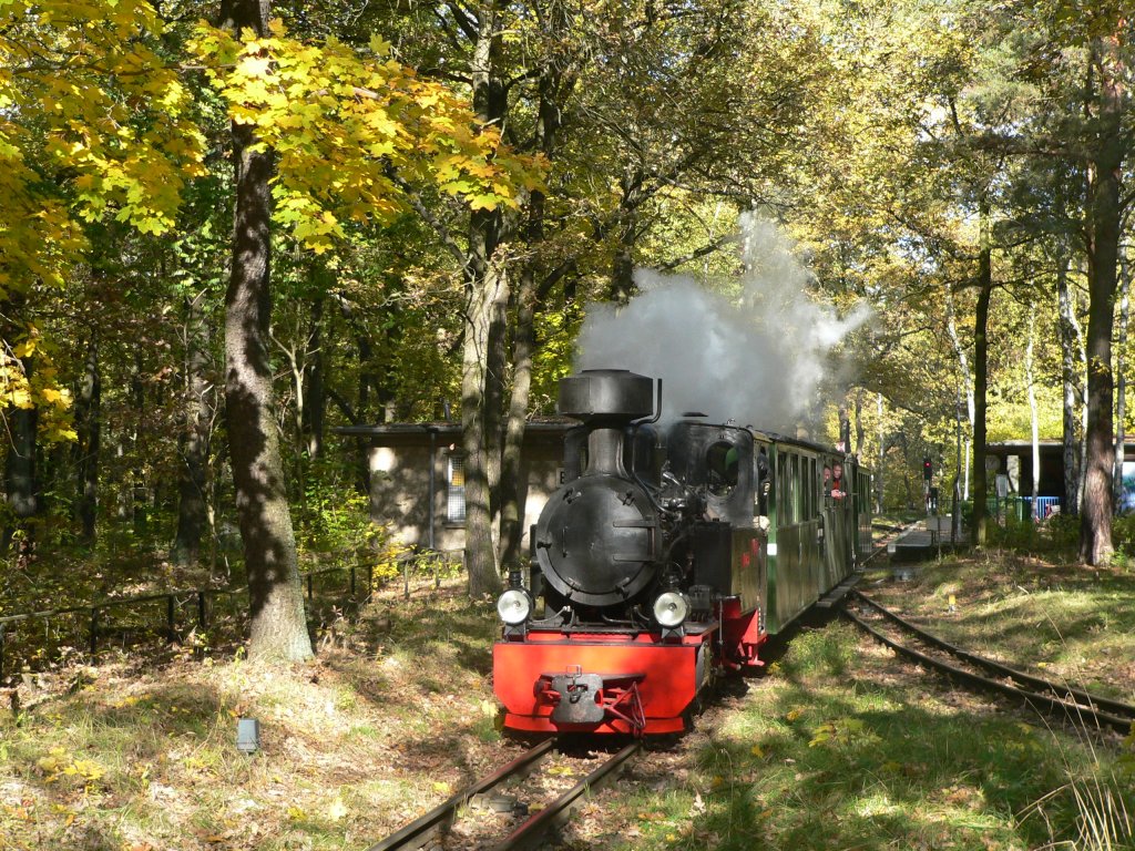 Dampflok Luise der Parkeisenbahn Wuhlheide im Einsatz. 23.10.2010