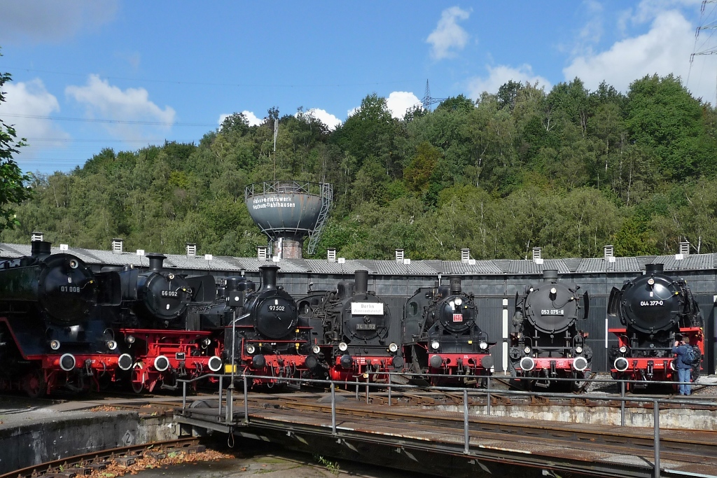 Dampflok-Parade vor dem Ringlokschuppen in Bochum Dahlhausen am 18.9.2010:
01 008, 66 002, 97 502, 74 1192, BLE 146, 53 075, 44 377.