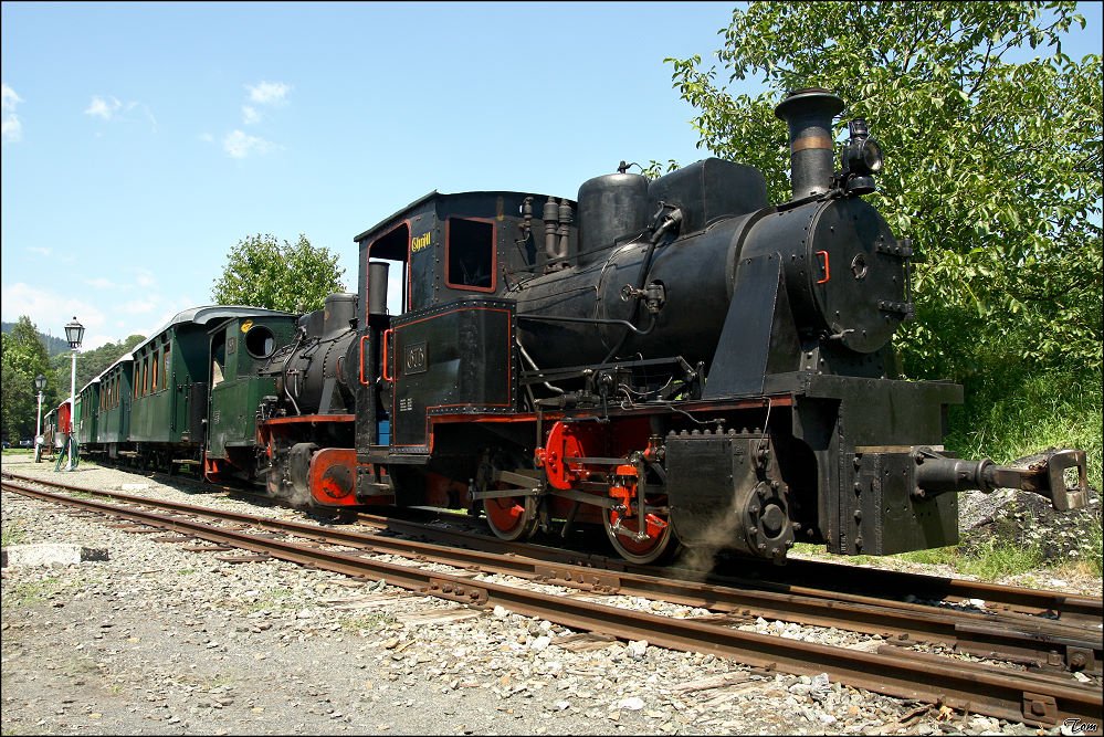 Dampfloks Christl Bn2t Hanomag 1916 & Bhler 13 Bn2t Krauss Mnchen 1941 der Gurkthalbahn beim Dampftag 2009. 
2.8.2009 Pckstein-Zwischenwssern
