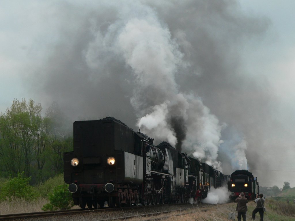 Dampfloks und Trainspotter. 1.5.2010, Wolsztyn