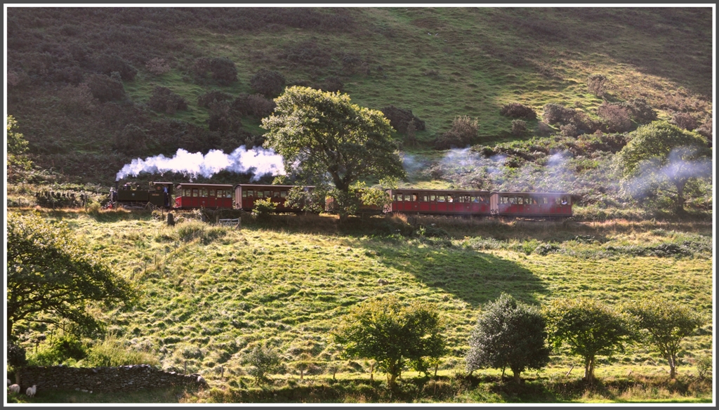 Dampfzug der Talyllyn Railway mit Lok 7  Tom Rolt  zwischen Dolgoch und Abergynolwyn. (04.09.2012)