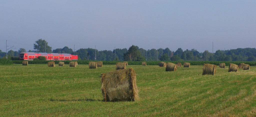 Dann gab es einen Standortwechsel am 01.07. Nchster Halt war ein B in der Nhe von Grfendorf, mich verschlug es an die Strae in der Nhe um mal das lndliche Panorama einzufangen (irgendwie mag ich das ... ich komme zwar  vom Dorf , aber doch zu nah an Berlin fr sowas). So kam um 7:45 Uhr der RE 18503 aus Stralsund nach Falkenberg(E) mit Steuerwagen voraus und + 6 im Petto.