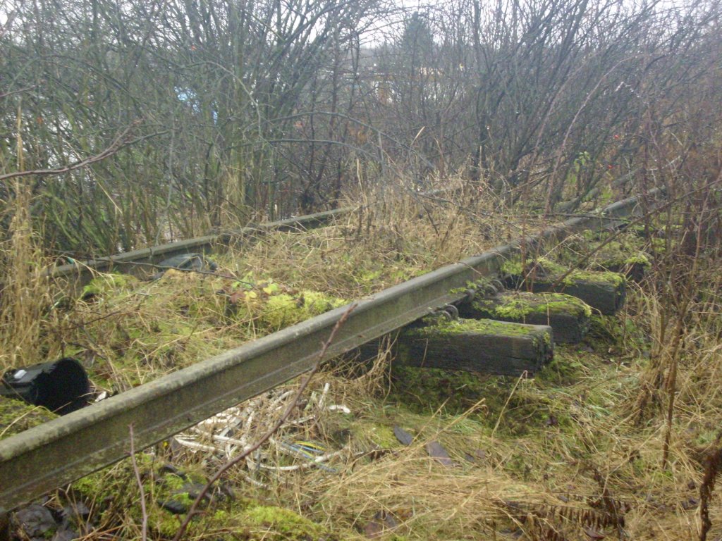 Das von Bewuchs angehobene Gleis nochmal aus einer anderen Perspektive. Nordhausen 25.12.2012