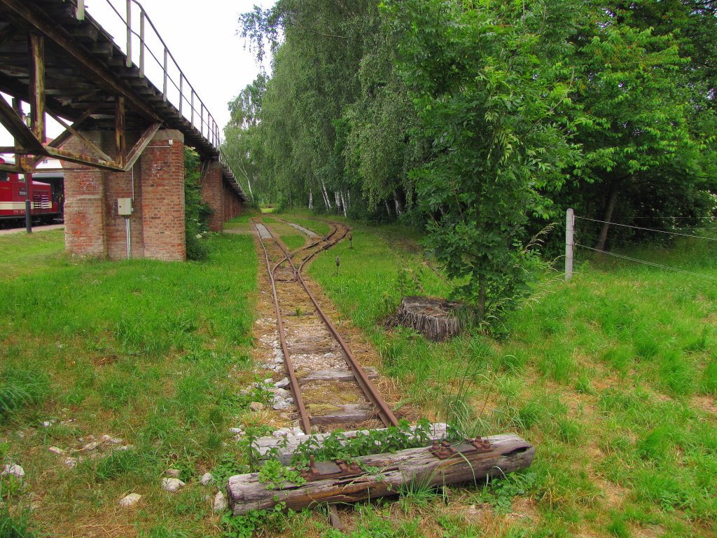 Das Ende der Feldbahnschauanlage in Glossen bei Oschatz; 09.06.2011