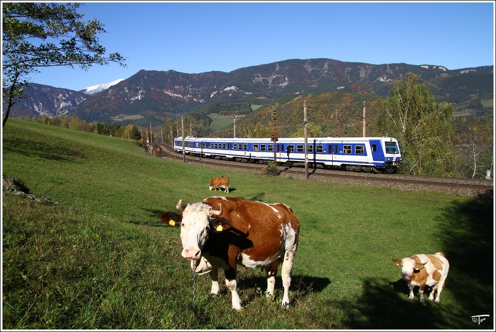 Das Flair einer Alpenbahn kann man auf diesem Bild gut erkennen. ET 4020 263 als R 2957 von Payerbach-Reichenau nach Mrzzuschlag.
Apfelwiese Eichberg 22.10.2010