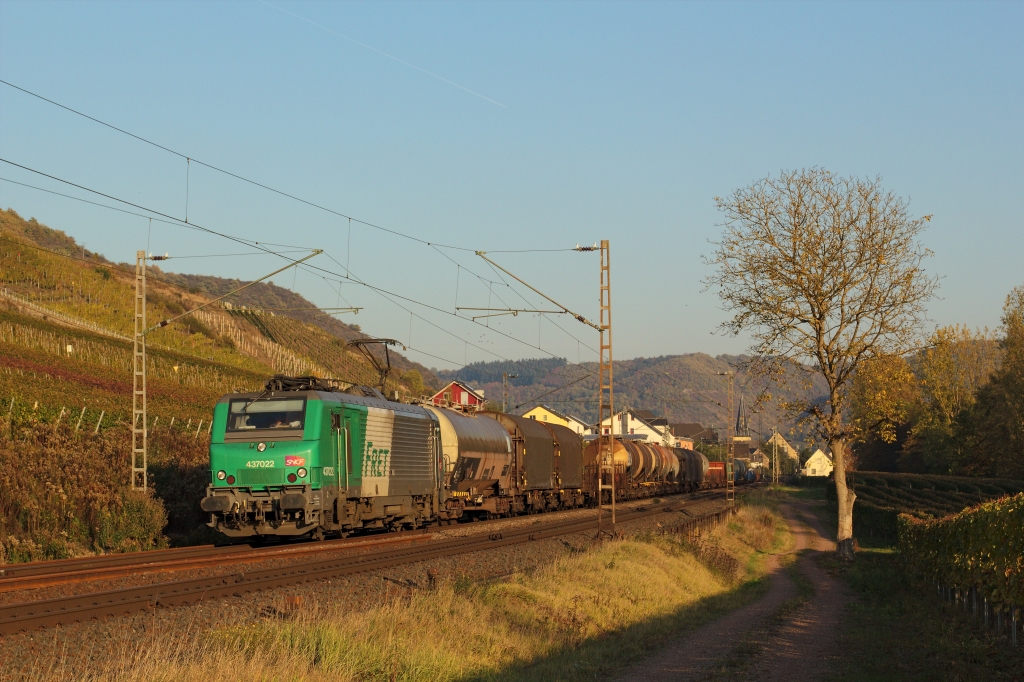 Das  Fretchen  ist im Moseltal nicht ungewhnlich, im Abendlicht geht es Ende Oktober 2011 Richtung Trier