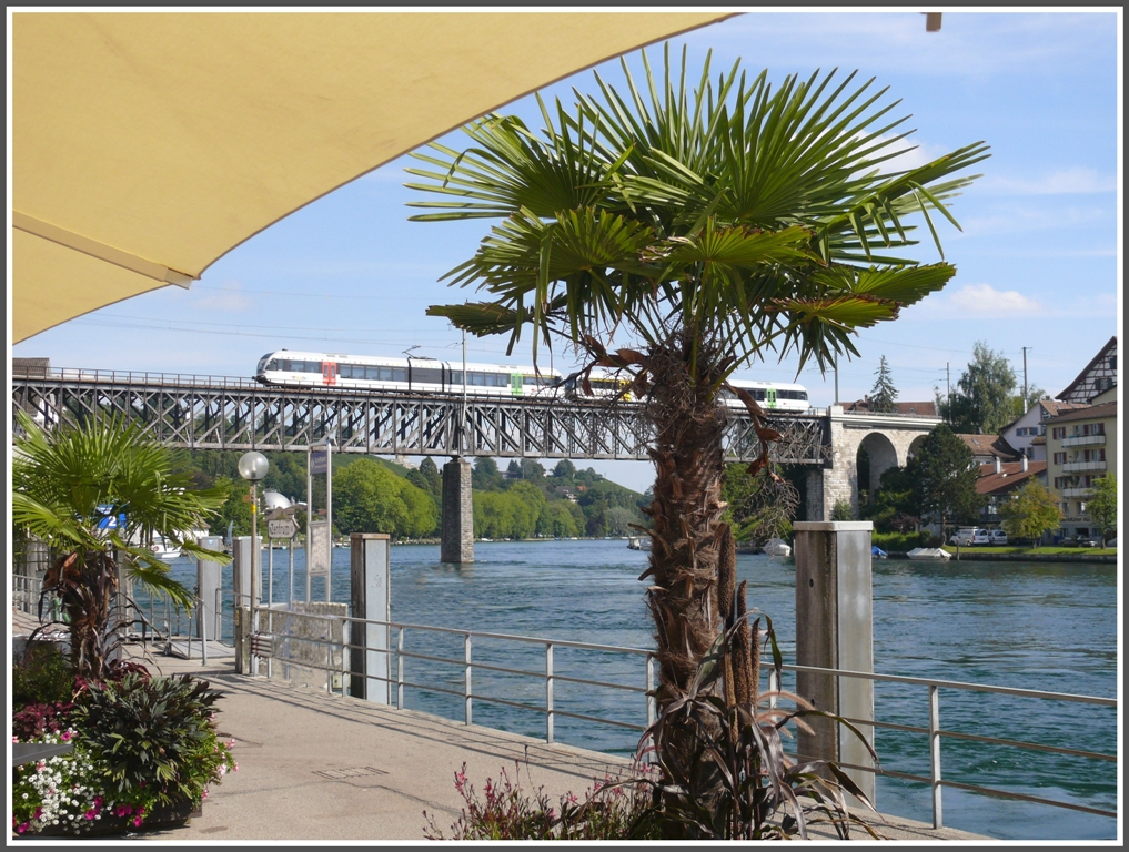 Das Ganze mutet sehr mediterran an, ist aber nicht in Nizza sondern in Schaffhausen am Rheinquai. Ein Eis essen und dabei zwei GTW der Thurbo beobachten, die den Viadukt bei Feuerthalen berqueren, das ist ein idealer Fotostandpunkt. (03.09.2010)