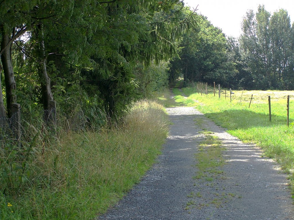 Das Geflle der Strecke Klingenberg-Colmnitz - Mohorn vor Oberdittmannsdorf  und vorne die Enfahrt in den stillgelegten Bahnhof. In dieser Kurve entgleiste 1931 wegen Bremsversagen ein Gterzug, in dessen Folge beide Lokfhrer starben.