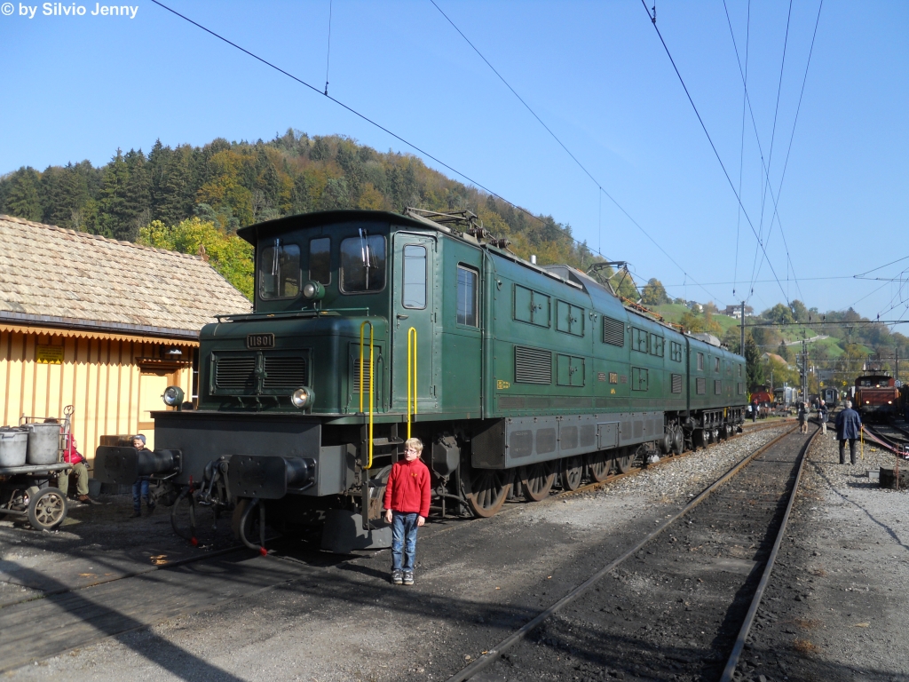 Das Highlight des diesjhrigen DVZO-Saisonabschluss mit dem Motto ''Schnauzenloks'' war zweifellos der Gigant, die Ae 8/14 11801 vom Historic-Team Erstfeld. Am 16.10.2011 herrschte zudem sonniges Wetter und viele liessen es sich nicht nehmen, sich vor der bulligen Lok fotografieren zu lassen.