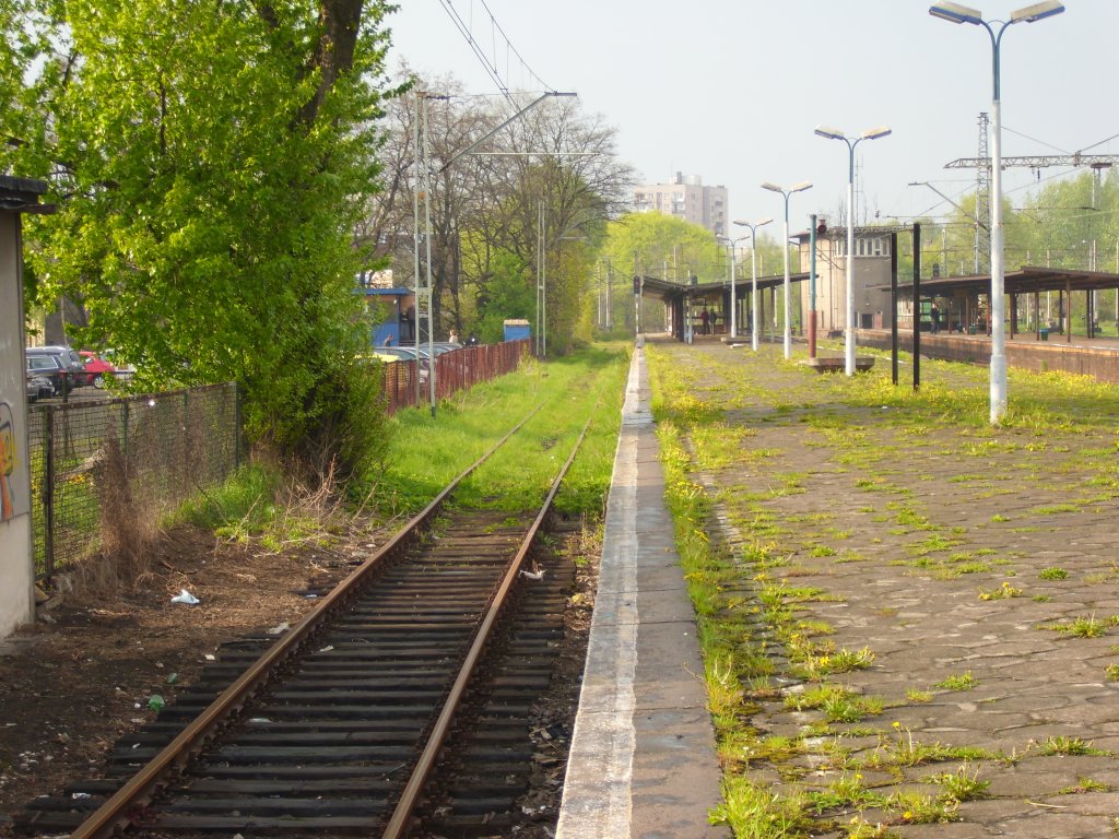 Das  Naturgleis  in Katowice-Ligota.(24.04.2011)
