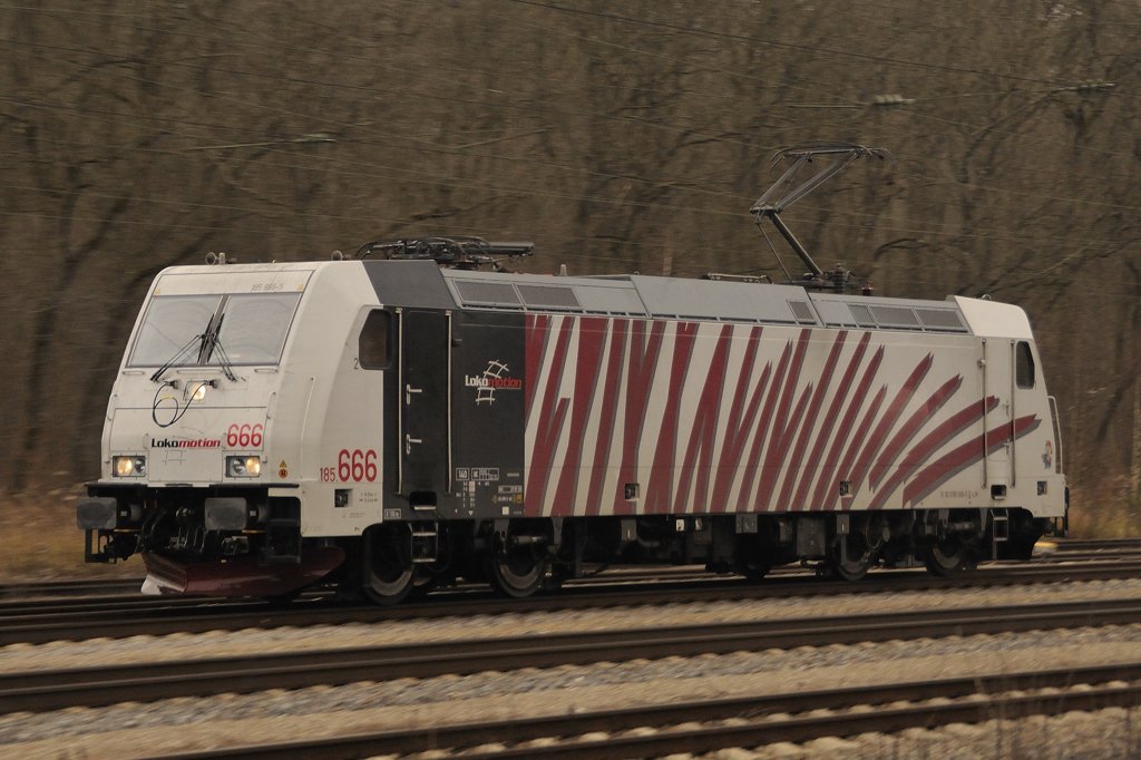 Das rote Lokomotion-Zebra: 185 666-7 im Mitzieher-Lokportrait. (Neuoffingen, 30.11.2009).