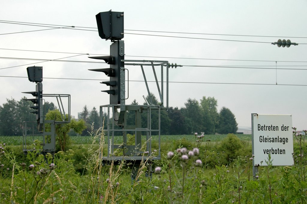 Das Schild ist eigentlich berflssig, da sowieso niemand mehr durch das meterhohe Unkraut zu den Signalen durchkommen wrde. 05.07.2010 kurz vor Plattling, Einfahrsignale aus Richtung Regensburg.