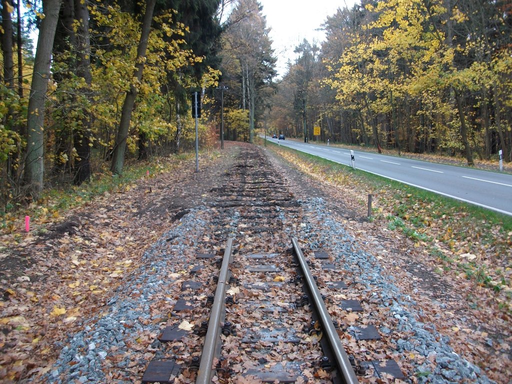 Das Streckengleis in Richtung Ghren am 05.November 2010 bei Philippshagen,nachdem man die alten Gleise entfernt hatte.