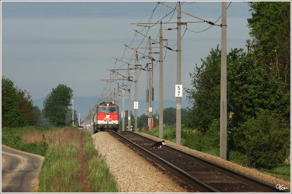 Das berqueren der Gleise ist verboten - 2143 009 fhrt mit Sdz 14676 von Wien Fjb ber Tulln nach Ernstbrunn zum 5.Oldtimertreffen auf Schiene und Strae. Gaisruck 6.5.2012