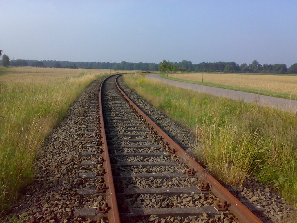 Das ist die Verbindungskurve zwischen der Bahnstrecke Jterbog-Rderau und der Bahnstrecke Falkenberg/Elster-Dessau Abzweig  Grorssen (Blickrichtung Beyern)! 30.06.2009! Das Gleis ist auch noch 2013 vorhanden, nur das halt die Weichen fehlen!