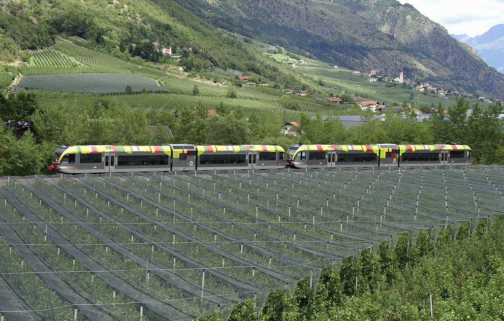 Das Vinschgau-Tal ist bekannt von dem Anbau von pfel. Eine Doppeltraktion aus GTW fahrt am 30.07.2010 bei Kastelbell entlang die Obstgarten.