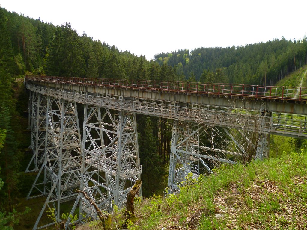 Das Ziemestal Viadukt auf der Stillgelegten Strecke Triptis-Marxgrn am 09.05.13