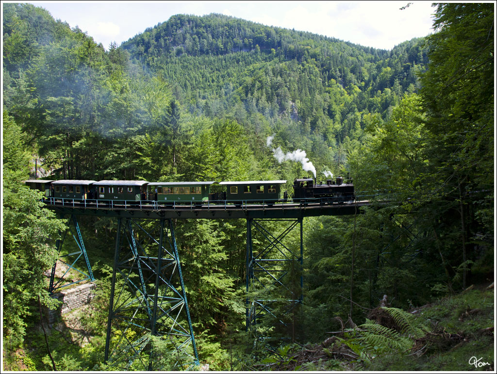 Das zweite Trestleworkbauwerk auf der der Ybbstalbahn ist die Wetterbachbrcke, ber welche hier die Dampflok UV 1 mit dem tscherland Express fhrt.
Pfaffenschlag 13.7.2013