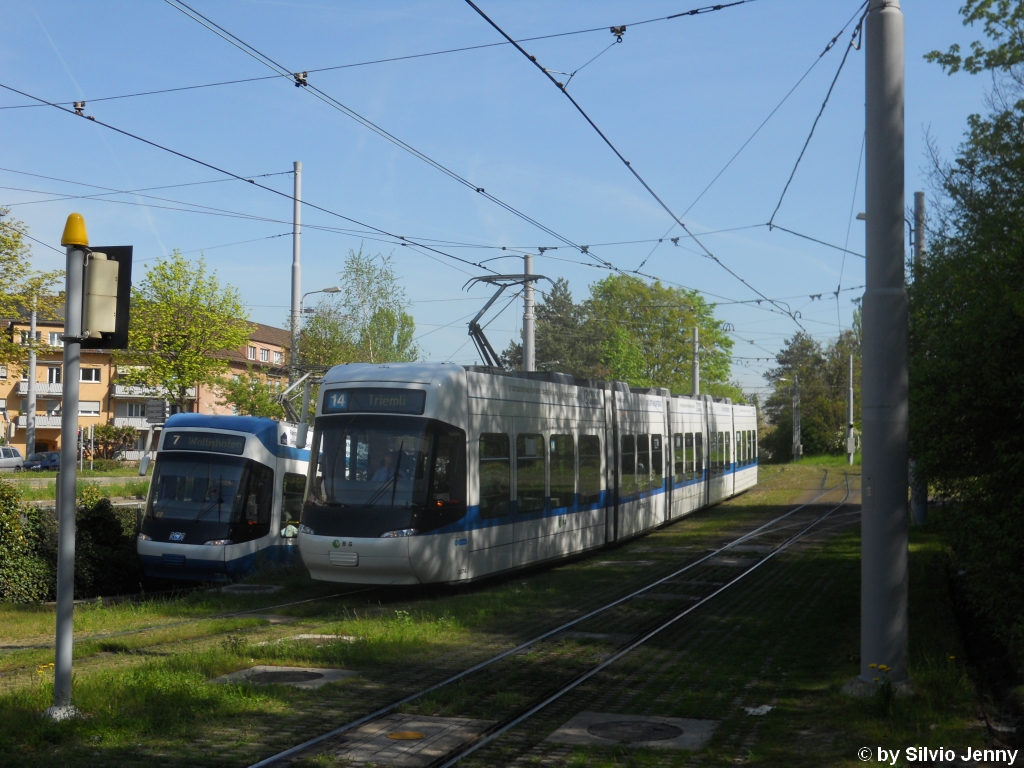 Dass die Schneewittchen bis zur Erffnung der 3. Etappe der Glattalbahn auch auf der Linie 11 fuhren war bekannt, doch am 29.4.2010 begegnete mir die Cobra 3074 auf der Linie 14 beim Milchbuck, whrend just zu dieser Zeit eine Cobra der Linie 7 aus dem Tunnel hervorkam.