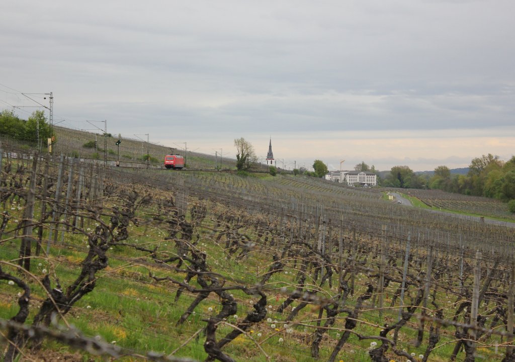 DB 101 113-7 als Tfzf 77923 von Koblenz Hbf nach Wiesbaden Hbf, am 26.04.2012 bei Erbach (Rheingau).