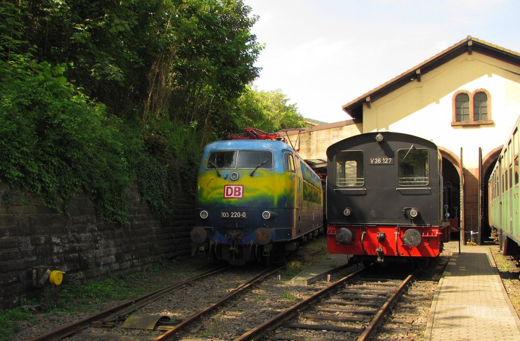 DB 103 220-0 und DGEG V36 127 (9080 0236 127-3 D-KBB), im DGEG Museum Neustadt (Weinstr); 07.05.2011