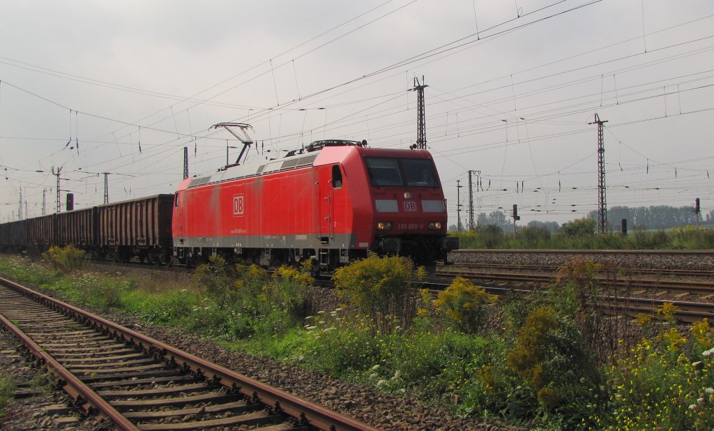 DB 185 065-0 mit einem gemischten Gterzug Richtung Leipzig, in Grokorbetha Rbf; 10.09.2010
