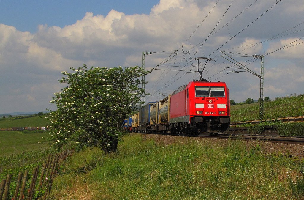 DB 185 384-5 mit dem TEC 43901 von Neuss Gbf nach Wien Nordwestbahnhof, bei Erbach (Rheingau); 13.05.2011