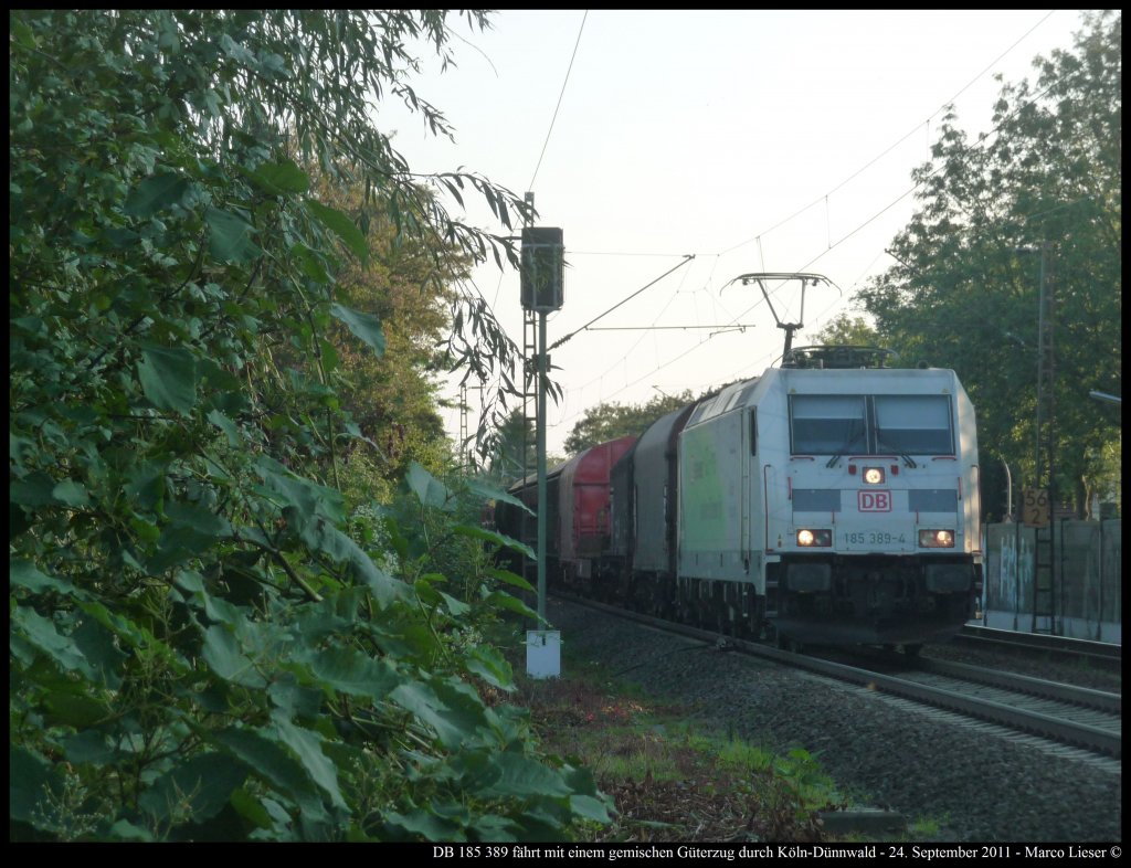 DB 185 389 fhrt mit einem gemischten Gterzug durch Kln-Dnnwald (24.09.2011)