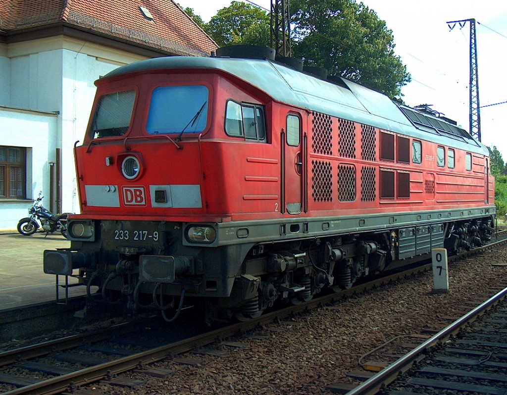 DB 233 217-9 in Grokorbetha; 05.08.2008