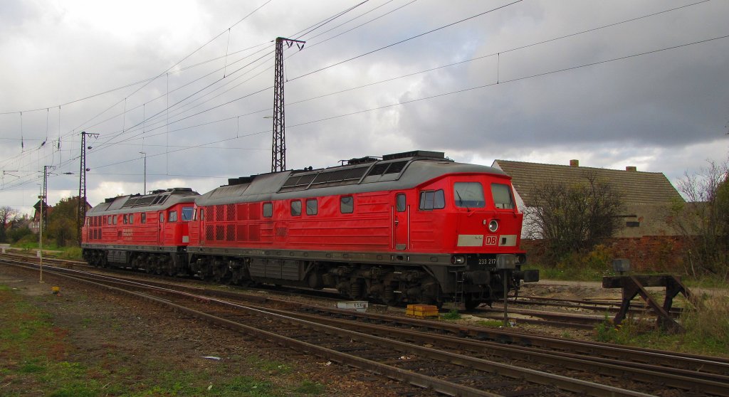 DB 233 217 (92 80 1233 217-9 D-DB) + RAILION DB Logistics 232 618-9 (92 80 1232 618-9 D-DB), abgestellt in Grokorbetha Rbf; 25.10.2010