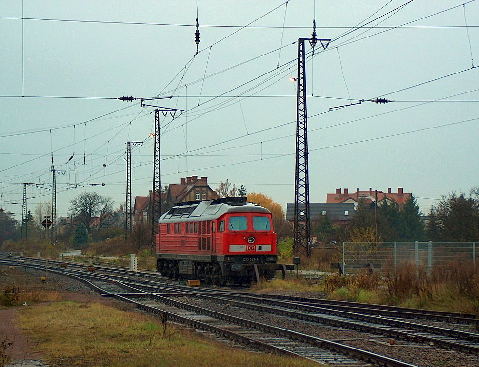 DB 233 521-4 in Grokorbetha; 16.11.2009