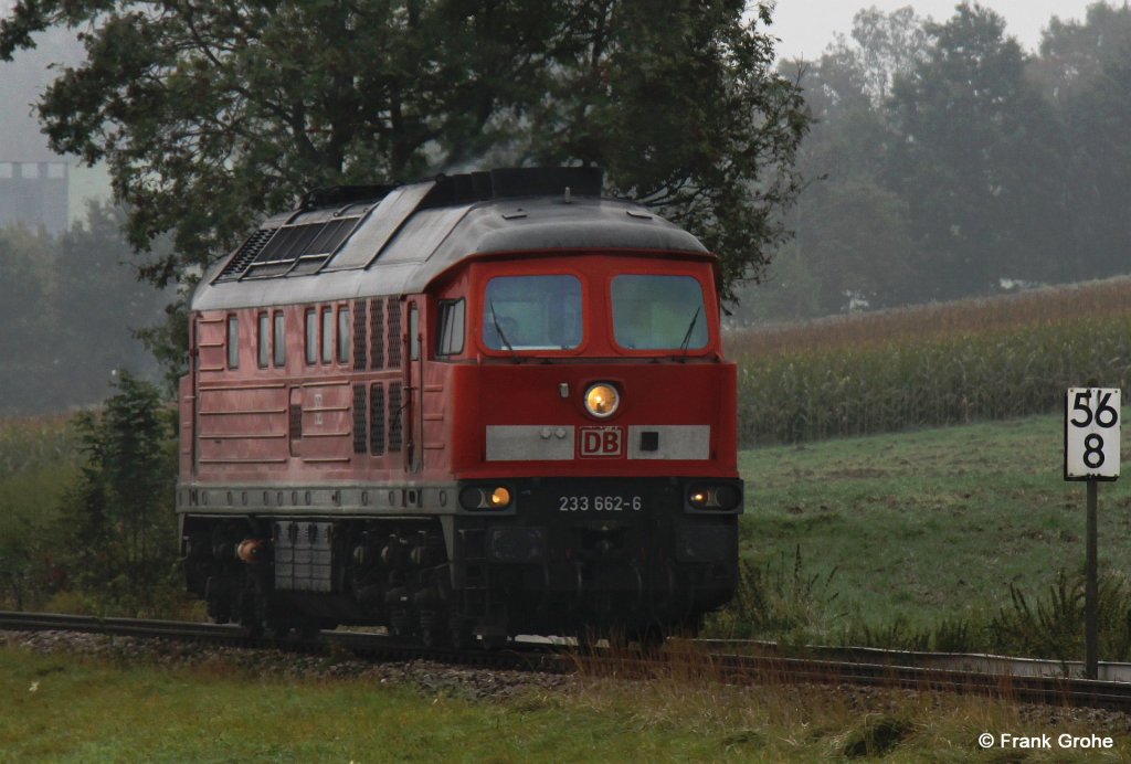 DB 233 662-6 Lokfahrt Richtung Mnchen, KBS 940 Mhldorf - Mnchen, fotografiert bei Schwindegg am 02.10.2010