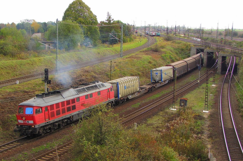 DB 233 683-2 mit einem gemischten Gterzug Richtung Leipzig, bei der Ausfahrt in Grokorbetha Rbf; 25.10.2010