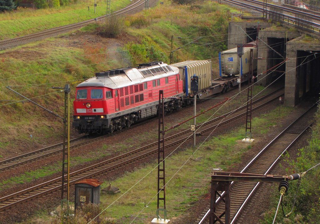 DB 233 683-2 wartet mit einem gemischten Gterzug im  Leipziger Loch  in Grokorbetha die auf Ausfahrt; 25.10.2010
