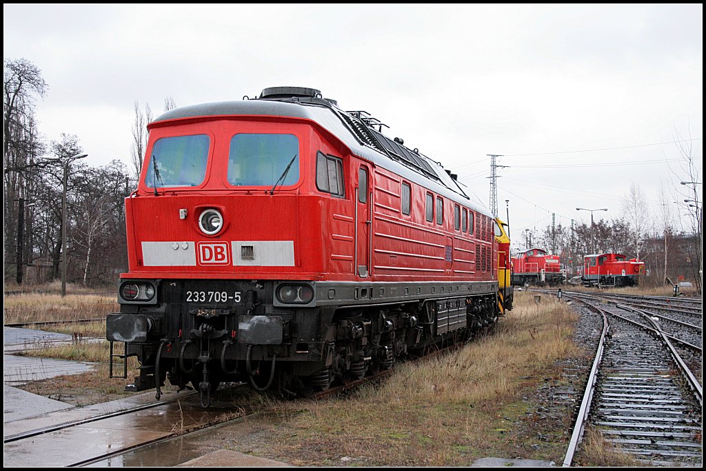 DB 233 709-5 steht auf einem Zufahrtsgleis zum Aw (ex 232 709-6, Verl. BSE 21.01.2010, fotografiert von einem ffentlichem Weg in Cottbus 28.12.2009)
