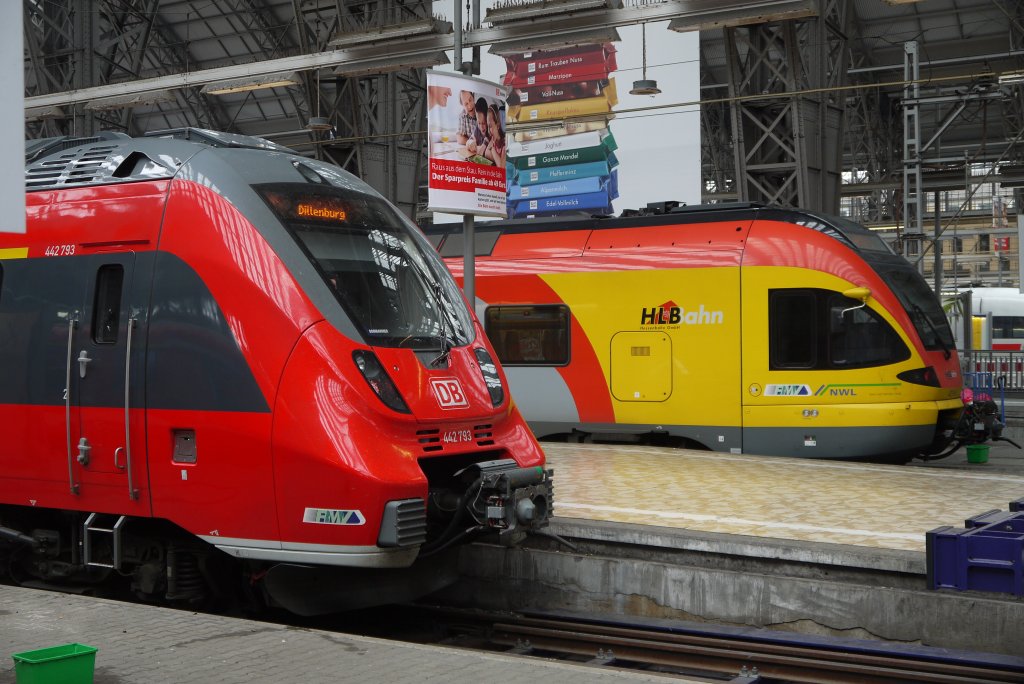 DB-442 und HLB-429 am 25.6.13 in Frankfurt/M Hbf.