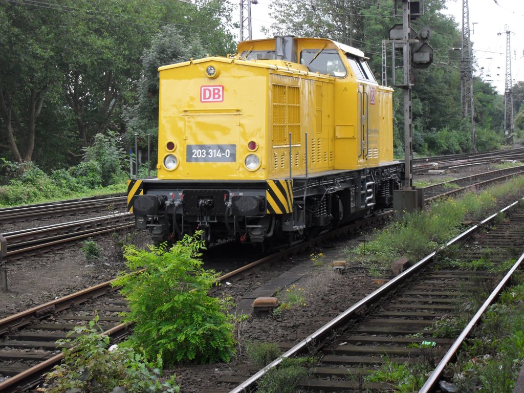 DB Instandhaltung 203 314-0 in Osnabrck Hbf am 19.9.10