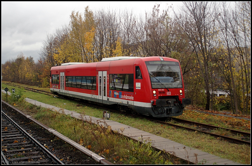 DB Regio 650 202  seehnsele  kam aus Berlin-Reinickendorf und fhrt weiter zum Nordkreuz (gesehen Berlin Wollankstrae 04.11.2010)