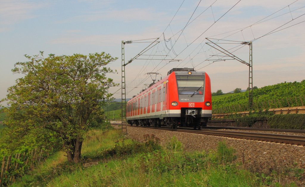 DB S-Bahn Stuttgart 423 342-5 als Tfzf Richtung Wiesbaden, am 02.09.2011 bei Erbach (Rheingau).