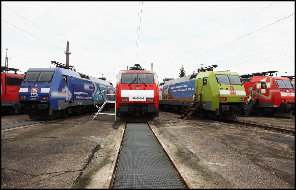 DB SCHENKER: Die modernen Zugpferde der Gterbahn im BW Osnabrck v.l.n.r.: 152 134 (9180 6152 134-4 D-DB)  TFG Transfracht , 189 065 (9180 6189 065-6 D-DB)  TulpenLok , 152 005 (9180 6152 005-5 D-DB)  CLAAS  und 185 142 (9180 6185 142-7 D-DB)  Edelweiss . (19.09.2010)