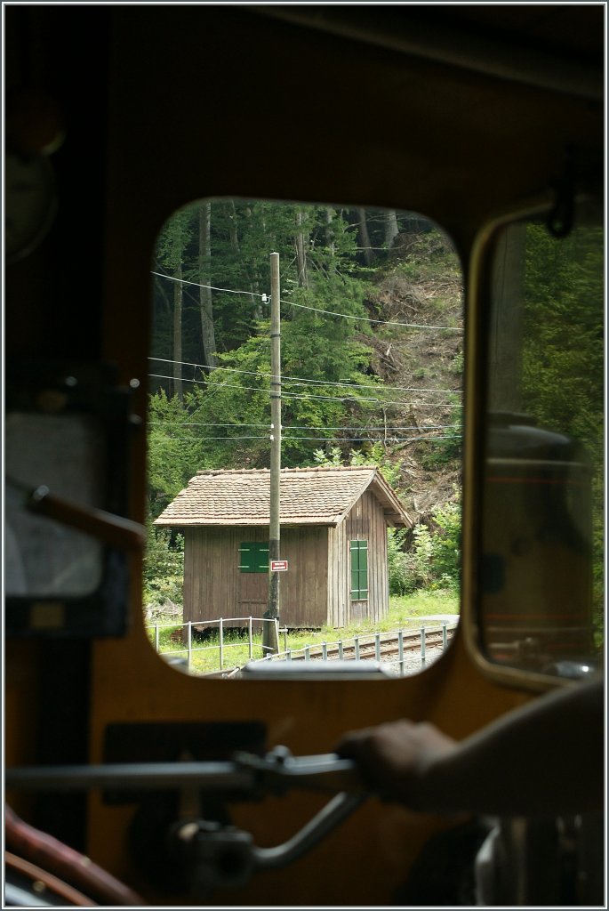 Dem Lokfhrer (vom Plattformwagen aus) ber die Schulter geschaut...
Blonay-Chamby, den 6. August 2011