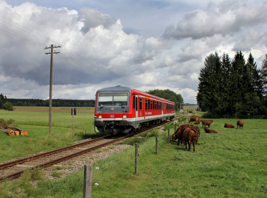 Der 628 558 als RB nach M�hldorf am 26.08.2012 unterwegs bei H�rbering.